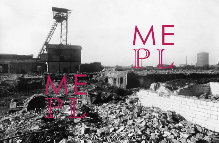 : World Economic Crisis, 1932 : World Economic Crisis, 1932