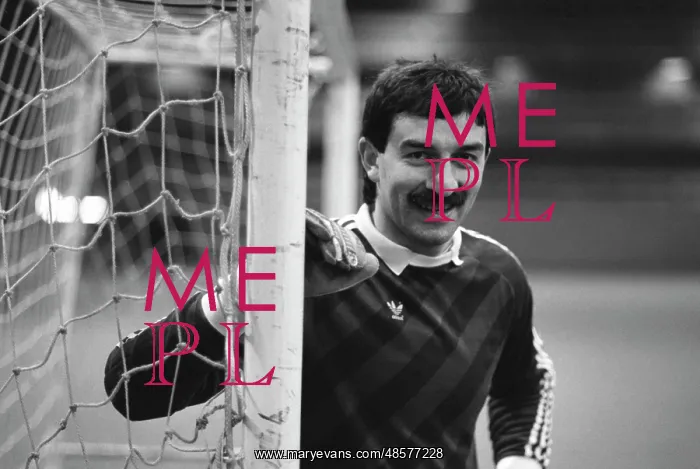 : World Football Cup : World Football Cup