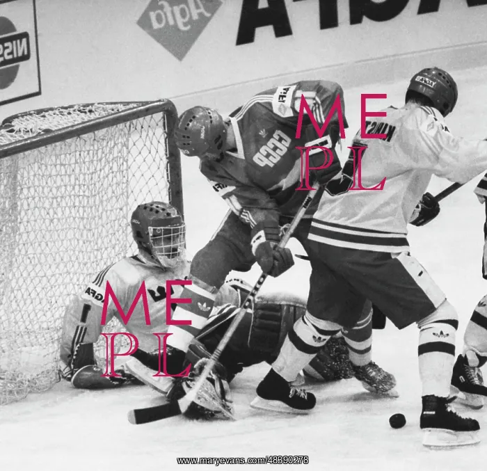 : World hockey championship : World hockey championship