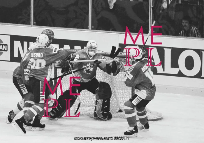 : World hockey championship : World hockey championship