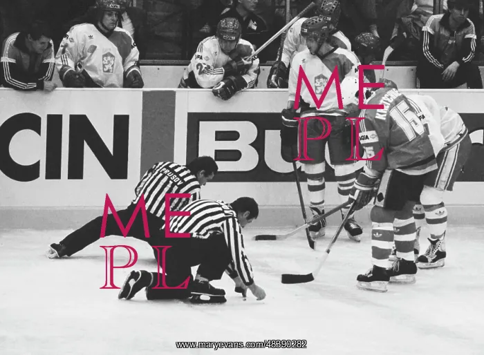 : World hockey championship : World hockey championship