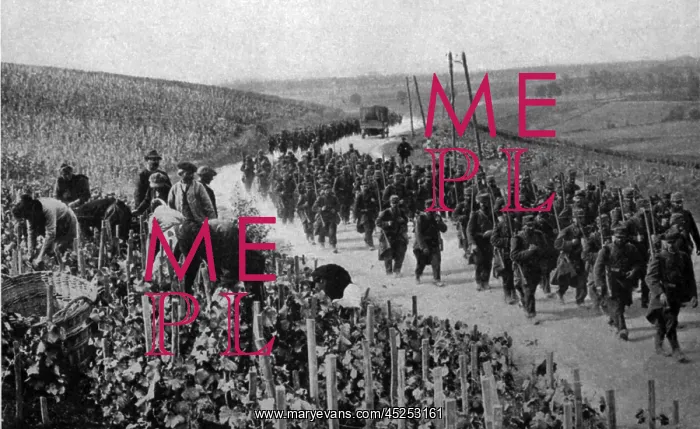 : World War 1. Civilians working in a vineyard of : World War 1. Civilians working in a vineyard of