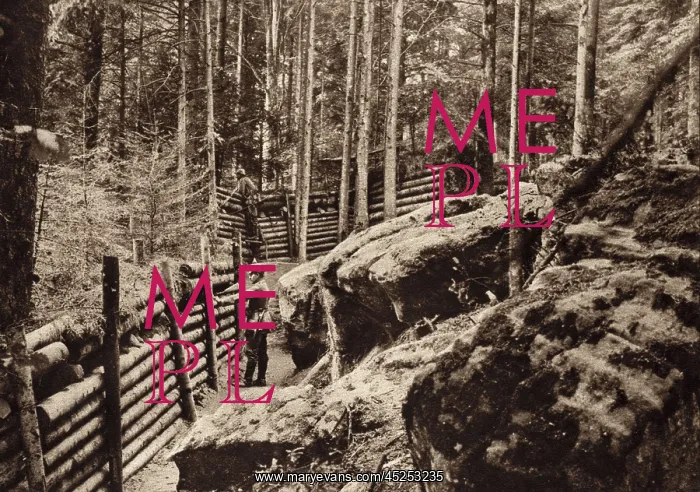 : World War 1. A German trenches in the Vosages : World War 1. A German trenches in the Vosages