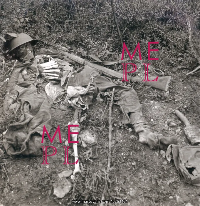: World War 1. Human wreckage in No Man's Land : World War 1. Human wreckage in No Man's Land