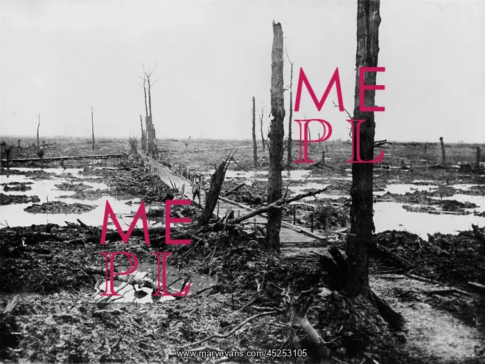 : World War 1. No Man's Land - once a forest in : World War 1. No Man's Land - once a forest in