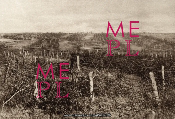: World War 1. Miles of barbed wire forms a maze : World War 1. Miles of barbed wire forms a maze