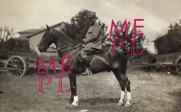 : World War I : World War I