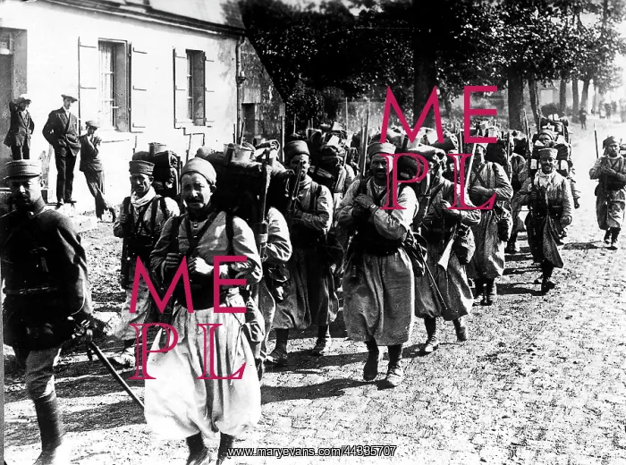 : World War I : World War I