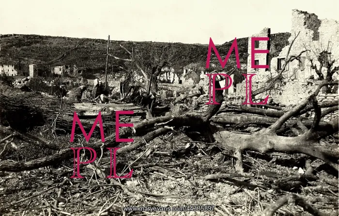 : World War I : World War I