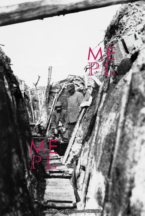 : World War I : World War I