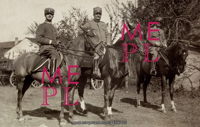 : World War I : World War I