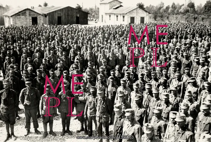 : World War I : World War I
