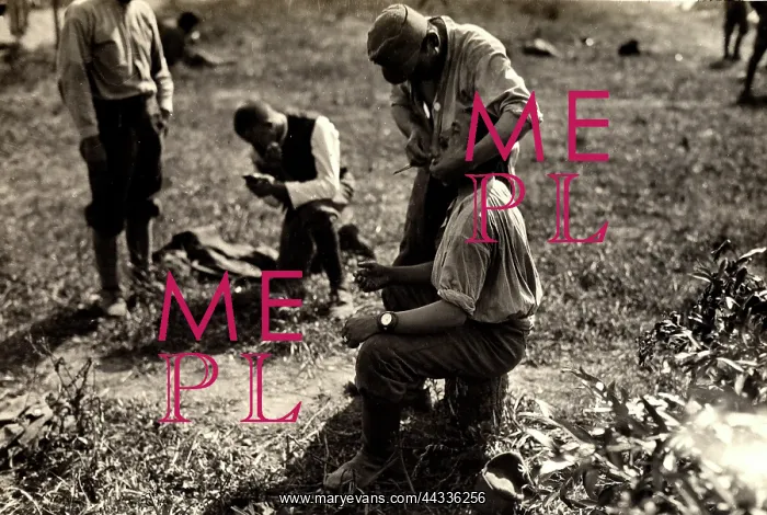 : World War I : World War I