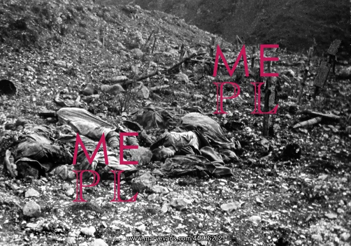 : World War I : World War I