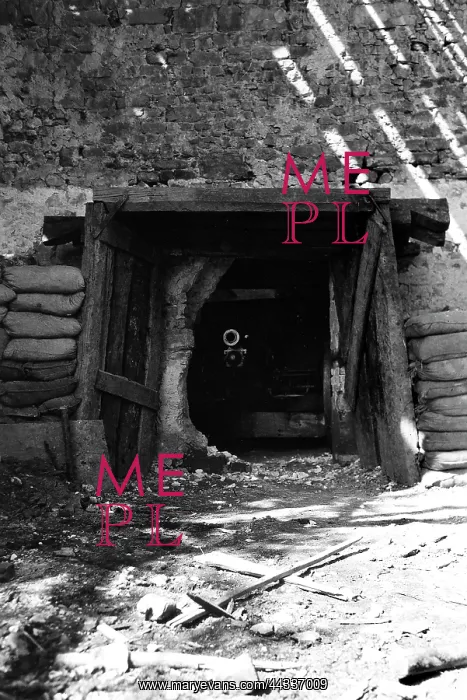 : World War I : World War I
