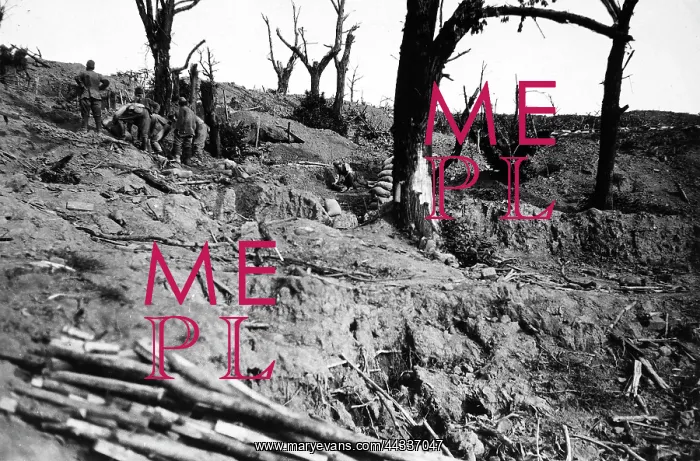 : World War I : World War I