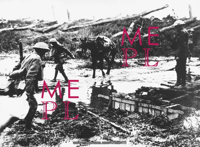 : World War I : World War I