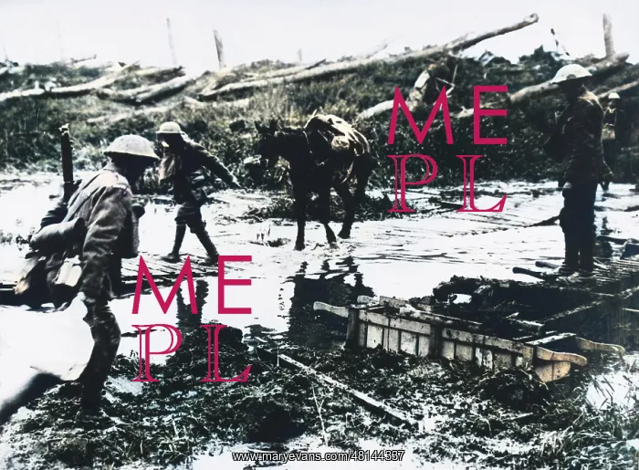 : World War I : World War I