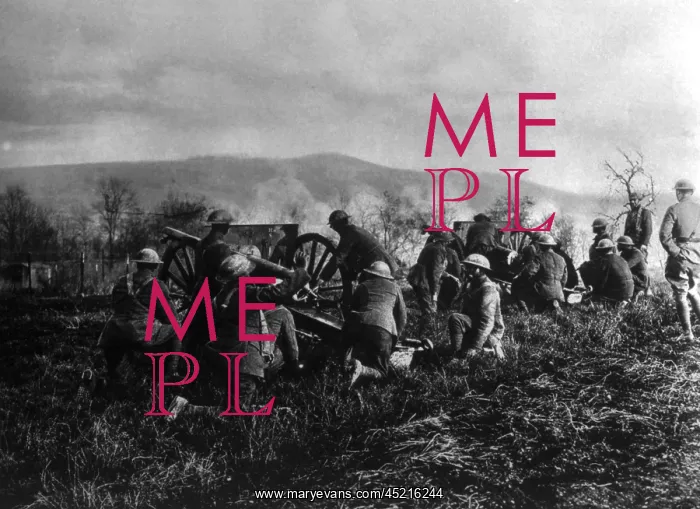 : World War I, American colored troops of ? : World War I, American colored troops of ?