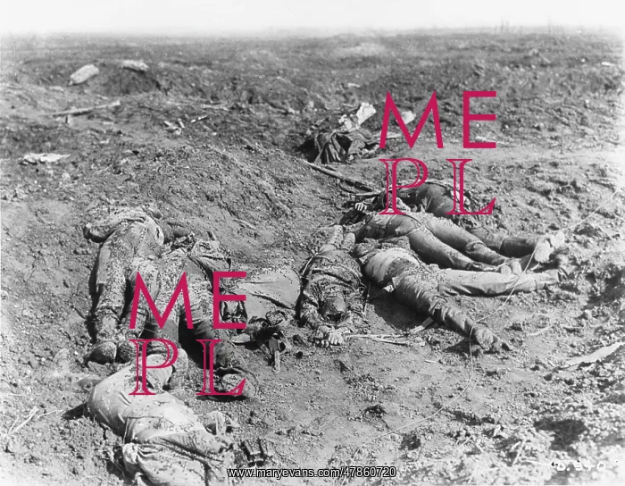 : World War I Dead : World War I Dead