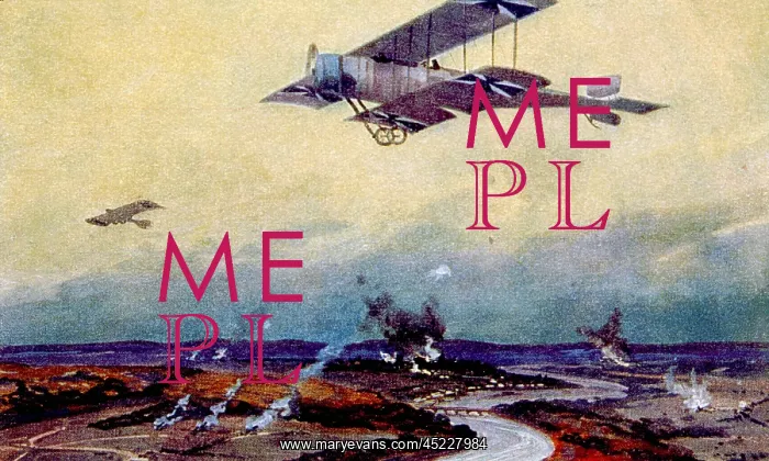 : World War I, German biplane on reconnaissance ? : World War I, German biplane on reconnaissance ?