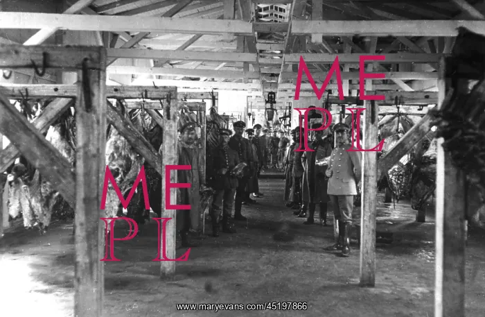 : World War I - Slaughterhouse in Russia : World War I - Slaughterhouse in Russia