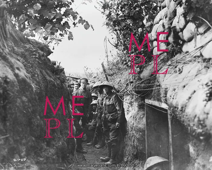 : World War I trench : World War I trench