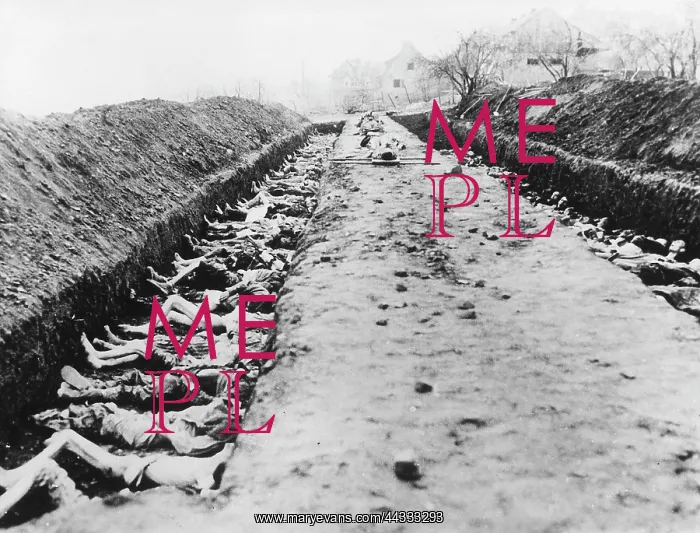: World War II : World War II