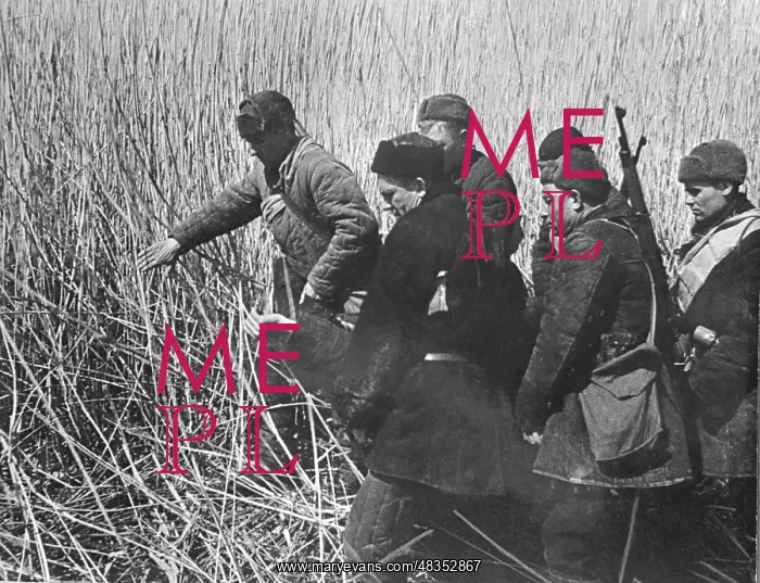 : World War II : World War II
