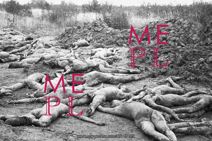 : World War II : World War II