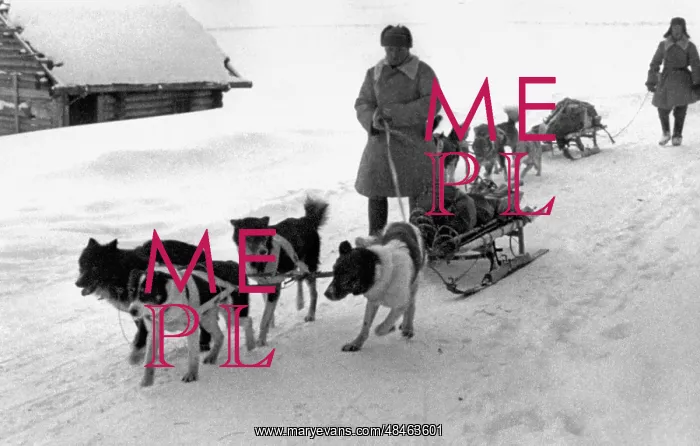 : World War II : World War II
