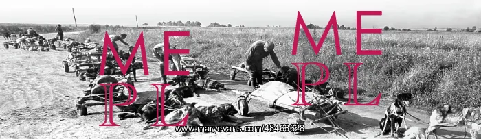 : World War II : World War II