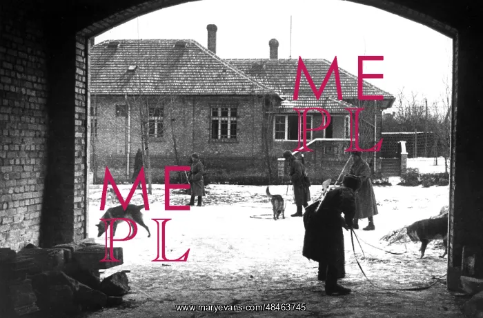 : World War II : World War II