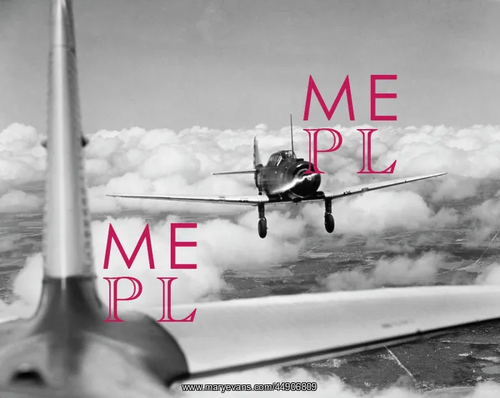 : World War Ii Accelerated Pilot Basic Training Planes Ar : World War Ii Accelerated Pilot Basic Training Planes Ar