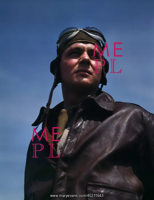 : World War II, bomber pilot, Captain in a ? : World War II, bomber pilot, Captain in a ?