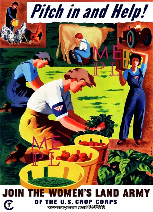 : World War II propaganda poster of women doing : World War II propaganda poster of women doing