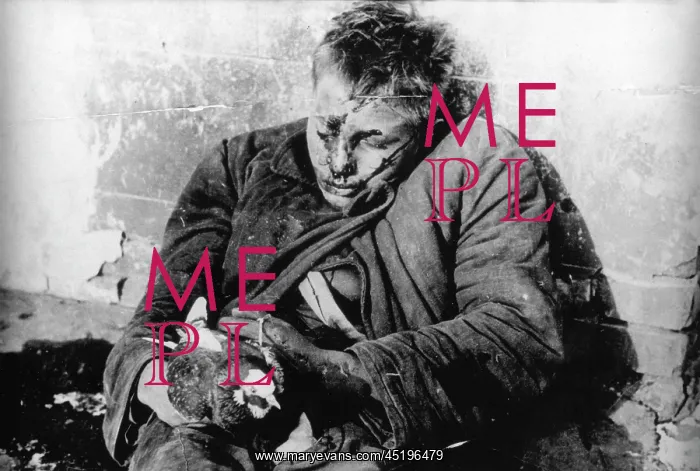 : World War II - Shot dead : World War II - Shot dead