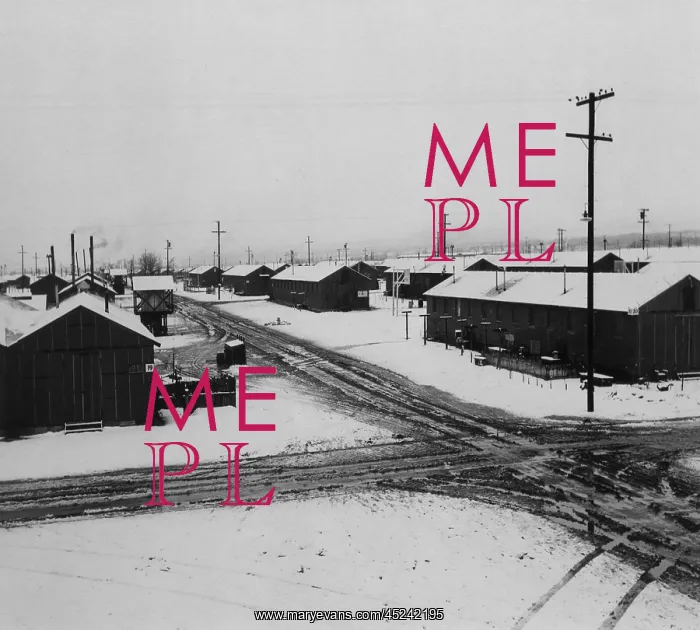 : World War II, Winter storm, Manzanar Relocation ? : World War II, Winter storm, Manzanar Relocation ?