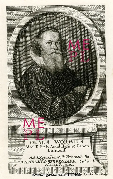 : Worm, Ole, 13.5.1588 - 31.8.1654, Danish archaeologist : Worm, Ole, 13.5.1588 - 31.8.1654, Danish archaeologist