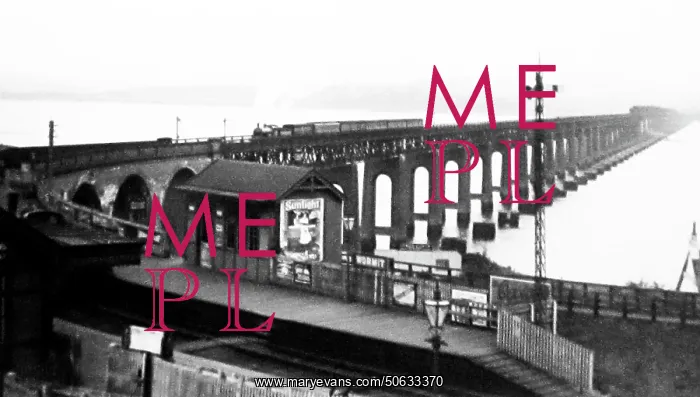  : Wormit Railway Station and the Tay Bridge