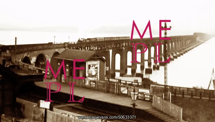  : Wormit Railway Station and the Tay Bridge