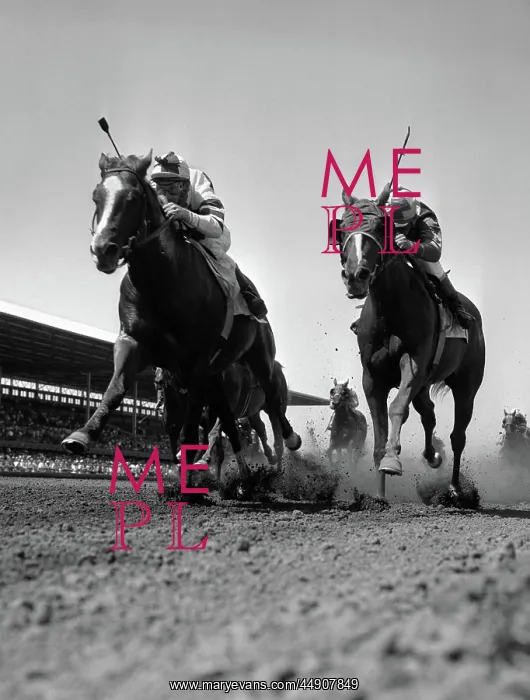 : Worm's-eye view of horse race with 2 leaders : Worm's-eye view of horse race with 2 leaders
