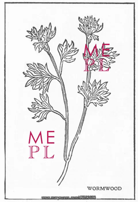 : Wormwood, Alchemy Plant : Wormwood, Alchemy Plant
