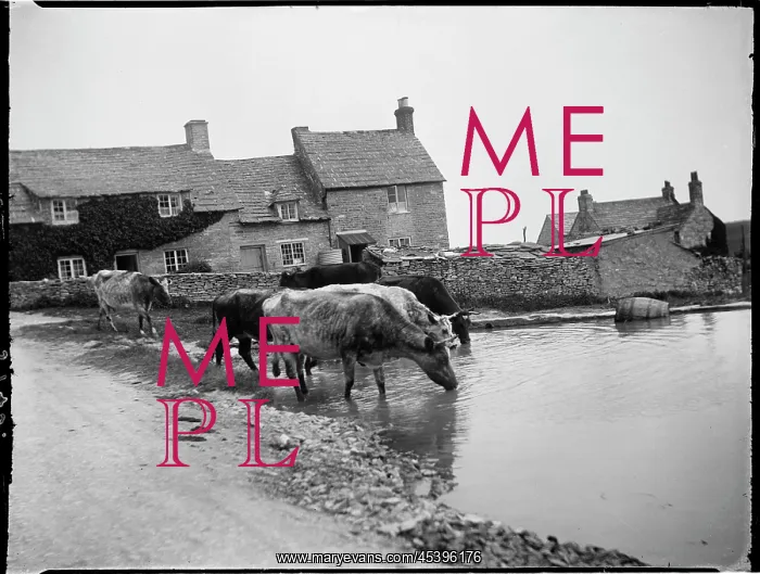 : WORTH MATRAVERS, PURBECK, DORSET : WORTH MATRAVERS, PURBECK, DORSET
