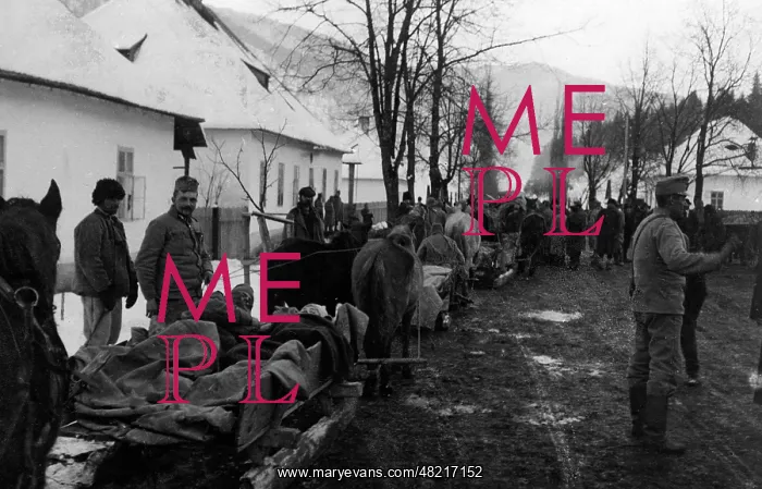 : Wounded Austrians in Bucovina, 1915 : Wounded Austrians in Bucovina, 1915