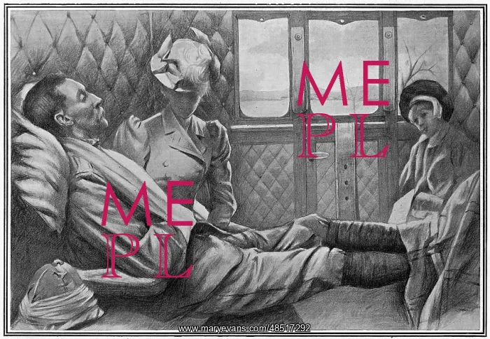 : Wounded British officer in railway carriage with : Wounded British officer in railway carriage with
