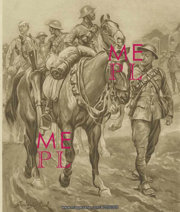 : Wounded Chum - World War One horses : Wounded Chum - World War One horses