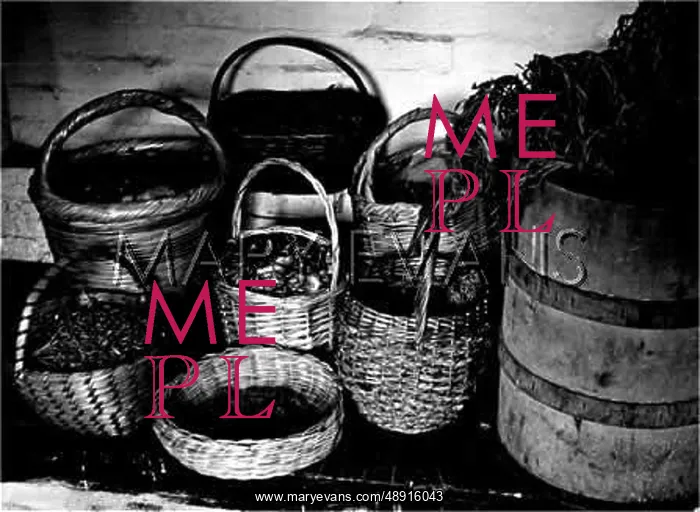  : WOVEN BASKETS
