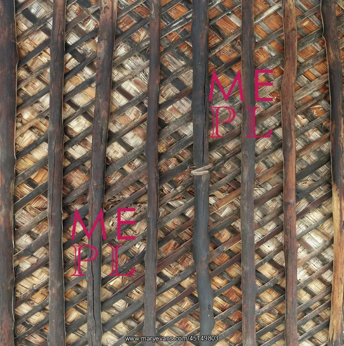 : Woven ceiling, Al Ghus House, Muharraq, Bahrain : Woven ceiling, Al Ghus House, Muharraq, Bahrain