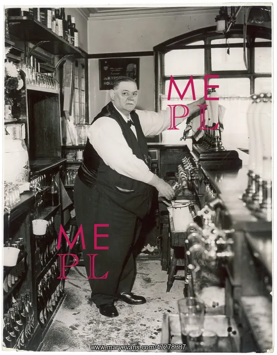 : W.P. FAIRLESS, PUBLICAN : W.P. FAIRLESS, PUBLICAN